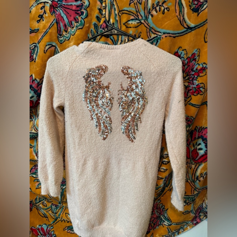 The Children's Place Angel wings sweater dress